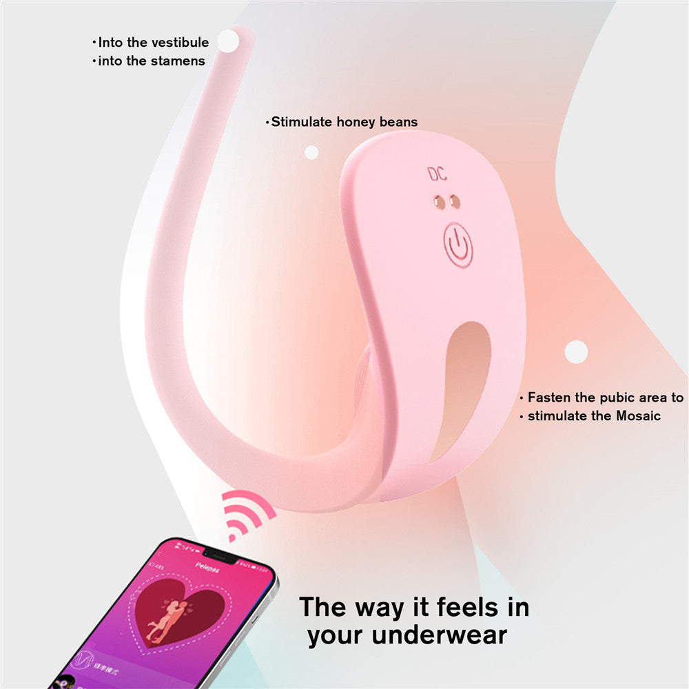 App/Remote Controlled Vibrating Panties For Clitorial Stimulation-EROSREALM