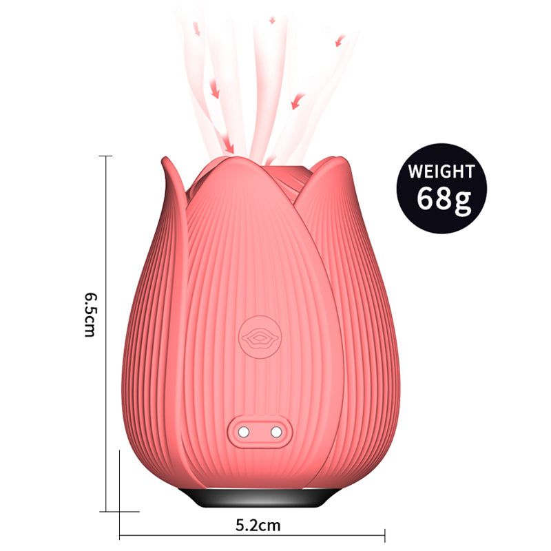 Light Rouge Rose Vibrator with Suction-EROSREALM