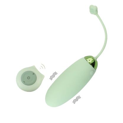 Wireless Remote Control Vagina Massager Vibrating Egg-EROSREALM