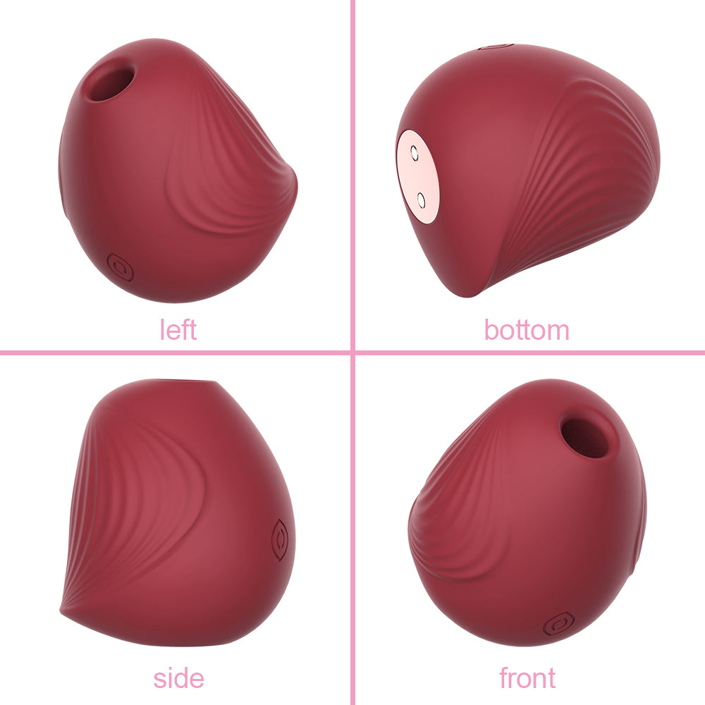 Bird Shape Vagina Sucking Vibrators-EROSREALM