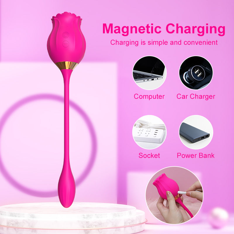 New 2-in-1 Rose Suction Vibrator with Vibrating Egg-EROSREALM