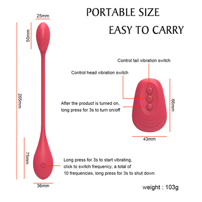 Wireless Remote Double Head Vibrating Egg-EROSREALM